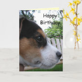 Carte Joyeux anniversaire du chien ! (Fleur jaune)