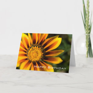 Carte Joyeux anniversaire du Gazania  