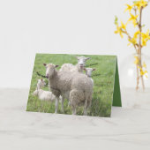 Carte Joyeux anniversaire du mouton dans un champ vert (Fleur jaune)