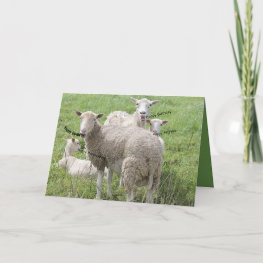 Carte Joyeux anniversaire du mouton dans un champ vert (Devant)
