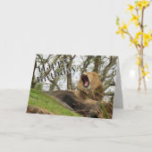 Carte Joyeux anniversaire - Du Roi (de la Jungle) (Fleur jaune)