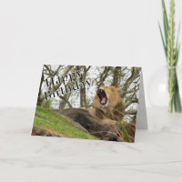 Joyeux anniversaire - Du Roi (de la Jungle)