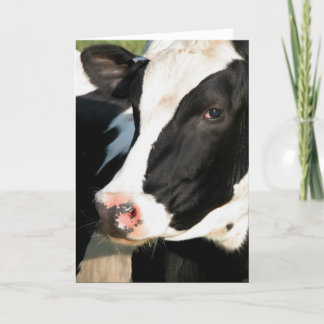 Carte Joyeux anniversaire d'Udderly