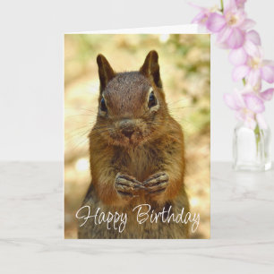Carte Joyeux Anniversaire Écureuil Cherchant un Gâteau