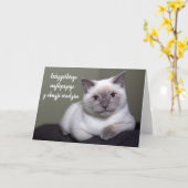Carte Joyeux anniversaire en polonais mignon chat blanc  (Fleur jaune)