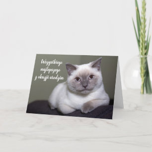 Carte Joyeux anniversaire en polonais mignon chat blanc 