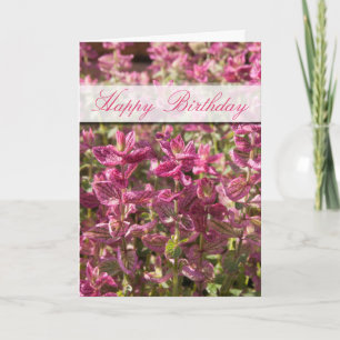Carte Joyeux Anniversaire Feuilles roses sur Stalks Plan