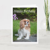 Carte Joyeux Anniversaire Fleurs Cavalier King Spa (Devant)