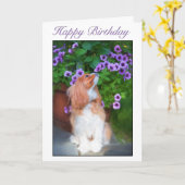 Carte Joyeux Anniversaire Fleurs d'Odeur Roi Charles Chi (Fleur jaune)