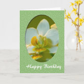 Carte Joyeux Anniversaire, fleurs d'orchidée blanche dan (Fleur jaune)
