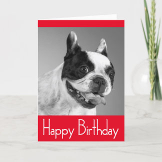 Carte Joyeux Anniversaire Français Bulldog Puppy Card - 