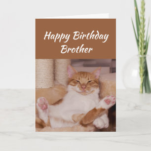 Carte Joyeux Anniversaire Frère Célébrer Funny Chat