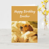 Carte Joyeux Anniversaire Frère Funny Animaux (Fleur jaune)