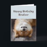 Carte Joyeux Anniversaire Frère Funny Chien Fête Heure!<br><div class="desc">Joyeux Anniversaire Frère Funny Chien Fête Heure!</div>
