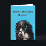 Carte Joyeux Anniversaire Frère Funny Chien Fête Heure!<br><div class="desc">Joyeux Anniversaire Frontière Collie Frère Funny Chien Fête Heure!</div>