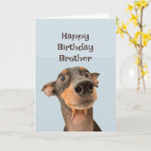 Carte Joyeux anniversaire Frère Funny Chien Humour (Fleur jaune)