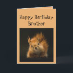 Carte Joyeux Anniversaire Frère Funny Oiseau rouge<br><div class="desc">Drôle carte d'anniversaire pour votre Frère Vous vieillissez comme un chêne peut faire attention pour les noix</div>