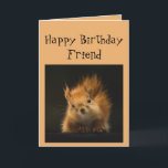 Carte Joyeux Anniversaire Funny AMI Animal d'écureuil ro<br><div class="desc">Drôle carte d'anniversaire pour votre AMI Vous vieillissez comme un chêne peut faire attention pour les noix</div>