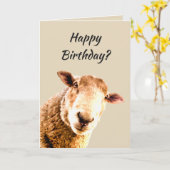 Carte Joyeux anniversaire Funny Sheep Humour animal (Fleur jaune)