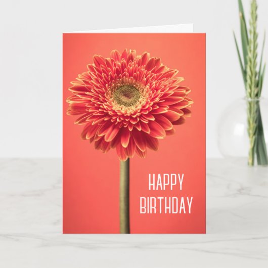 Carte Joyeux Anniversaire | Gerbera Daisy Barberton Roug (Devant)