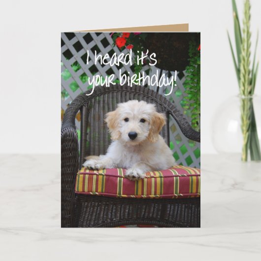 Carte Joyeux Anniversaire Golden Doodle Chiot (Devant)