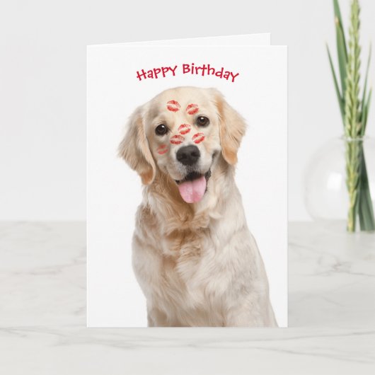 Carte Joyeux Anniversaire Golden Retriever (Devant)