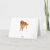 Carte Joyeux anniversaire Golden Retriever (Dos)