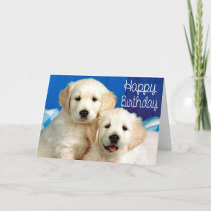 Carte Joyeux Anniversaire Golden Retriever Chien chiot