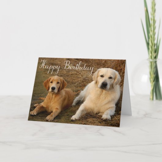 Carte Joyeux Anniversaire Golden Retriever Chien chiot (Devant)