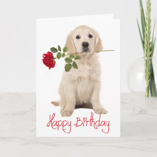 Carte Joyeux Anniversaire Golden Retriever Puppy Chien C (Devant)