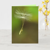 Carte Joyeux anniversaire - graines de pissenlit de vol (Fleur jaune)
