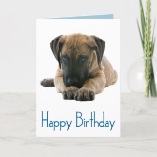 Carte Joyeux Anniversaire Grande Dane Puppy Dog Card - V