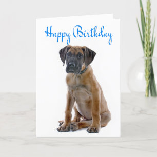 Carte Joyeux Anniversaire Grande Dane Puppy Dog Card - V