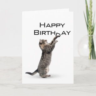Carte Joyeux Anniversaire gris Tabby Chat