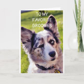 CARTE JOYEUX ANNIVERSAIRE **GROUPE DE CHIENS FAVORIS** (Devant)