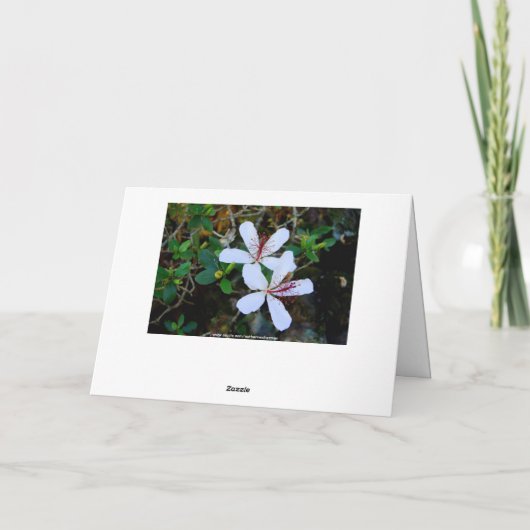 Carte Joyeux anniversaire hawaïen (Dos)