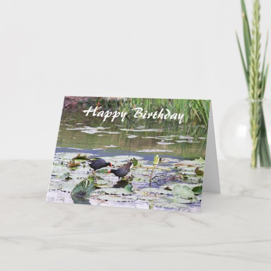 Carte Joyeux anniversaire Hawaiian Common Moorhen, Lily (Devant)