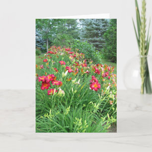 Carte Joyeux anniversaire - jardin rouge II de lis