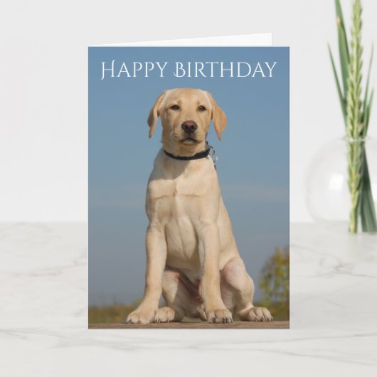 Carte Joyeux Anniversaire Jaune du Labrador Retriever Pu (Devant)