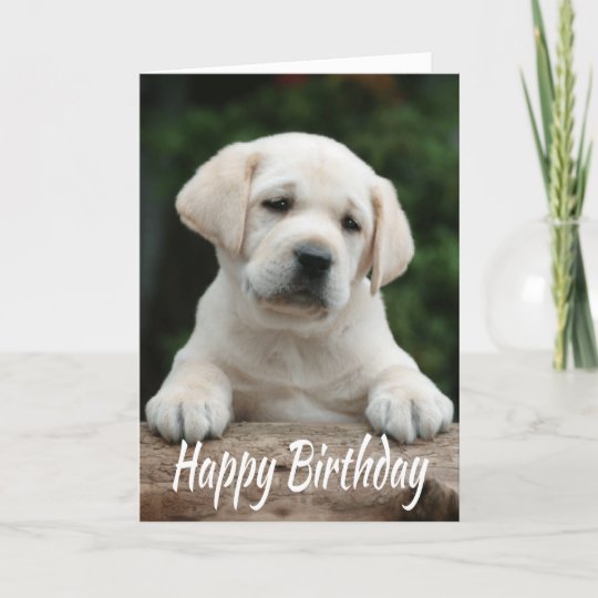 Carte Joyeux Anniversaire Jaune Du Labrador Retriever Pu Zazzle Be