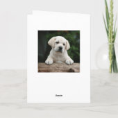 Carte Joyeux Anniversaire Jaune Labrador Retriever Chien (Dos)