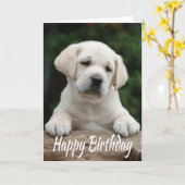 Carte Joyeux Anniversaire Jaune Labrador Retriever Chien (Fleur jaune)