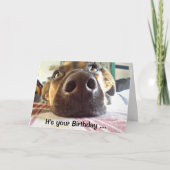 Carte Joyeux anniversaire je ne fais que le NEZ mignon c (Devant)