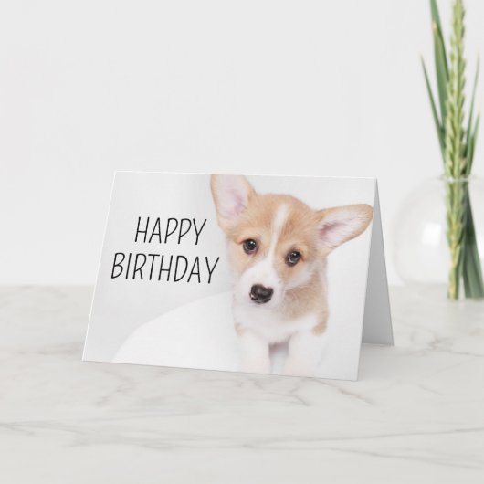 Carte Joyeux Anniversaire | Jeune chiot Corgi (Devant)