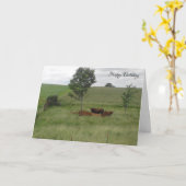 Carte Joyeux Anniversaire Jour de Paix Vaches dans (Fleur jaune)
