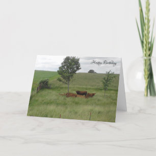 Carte Joyeux Anniversaire Journée Paisible Vaches 