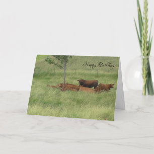 Carte Joyeux Anniversaire Journée Paisible Vaches dans l