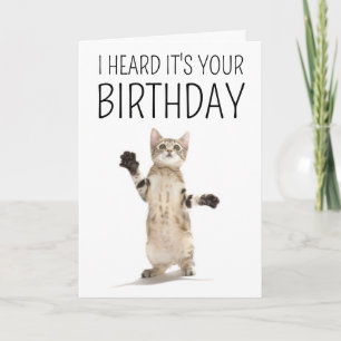 Carte Joyeux anniversaire   Kitten en blanc