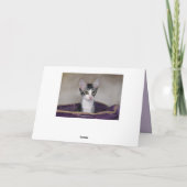 Carte Joyeux Anniversaire Kitten Pair dans un lit pourpr (Dos)