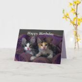 Carte Joyeux Anniversaire Kitten Pair dans un lit pourpr (Fleur jaune)